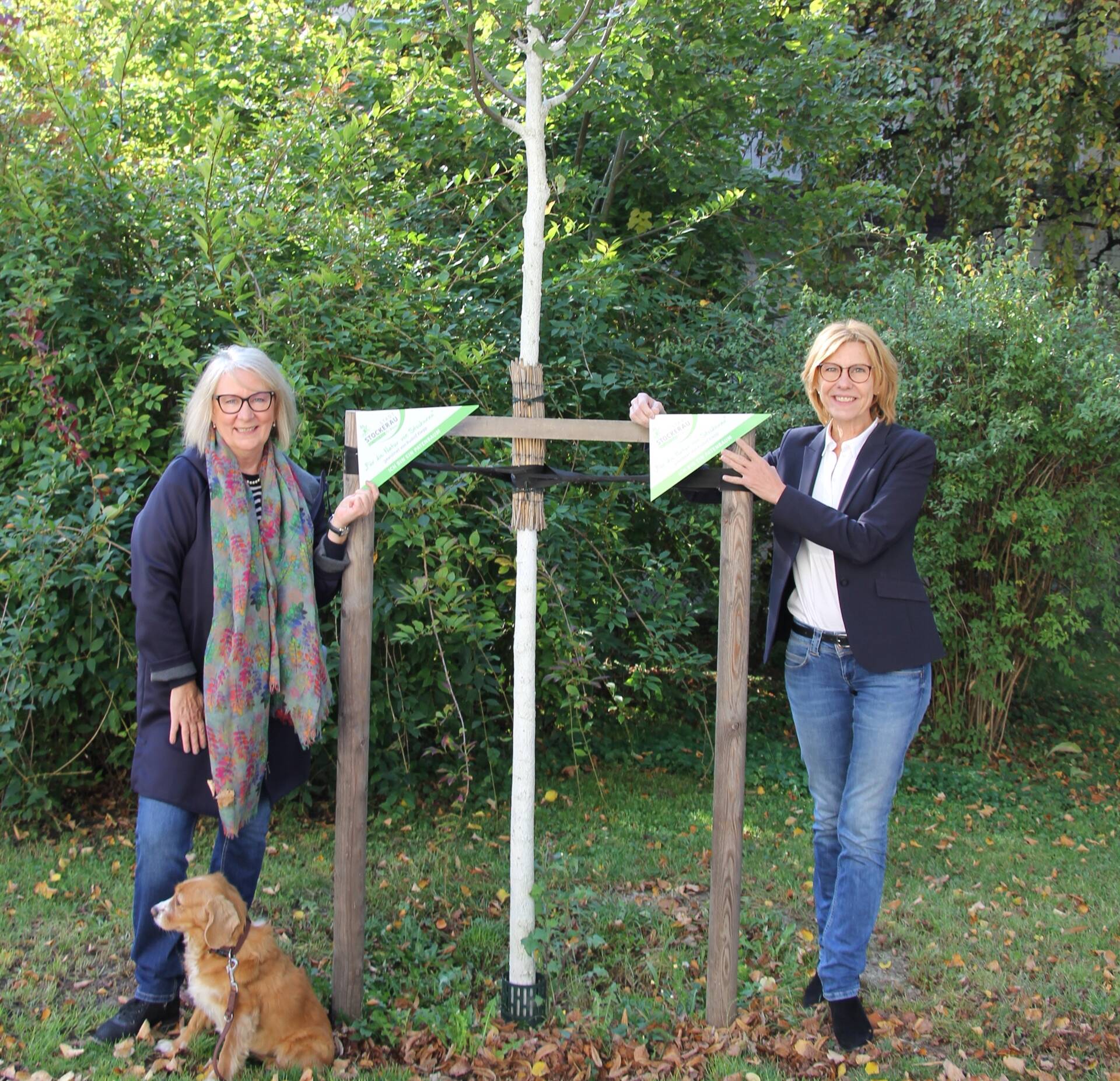 ‚Soroptimistische Bäume‘ in Stockerau